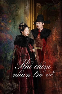 Khi Chim Nhạn Trở Về